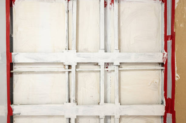 Environmental Consulting for Mold Prevention in Blackshear, GA