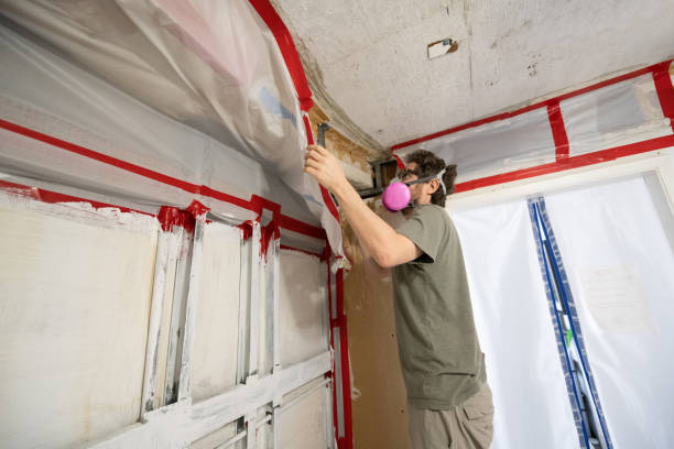 Blackshear, GA Mold Removal Company
